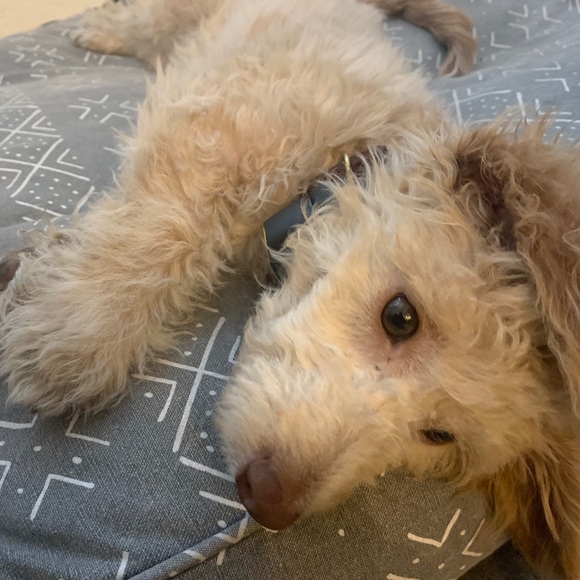 My Poshmark Mission - Picture 3 of 3